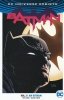 BATMAN VOL 01 I AM GOTHAM TP [9781401267773]